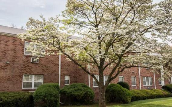 A red-brick apartment building with a blooming tree and well-maintained landscaping creates a serene and welcoming environment.
