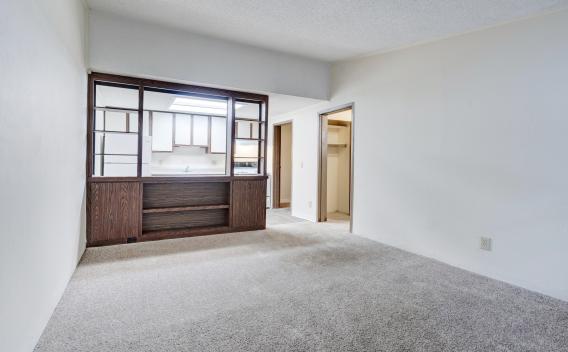 Living room and kitchen
