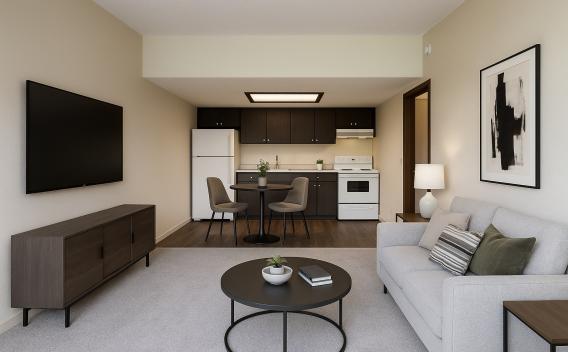 furnished living room, kitchen, dining room interior