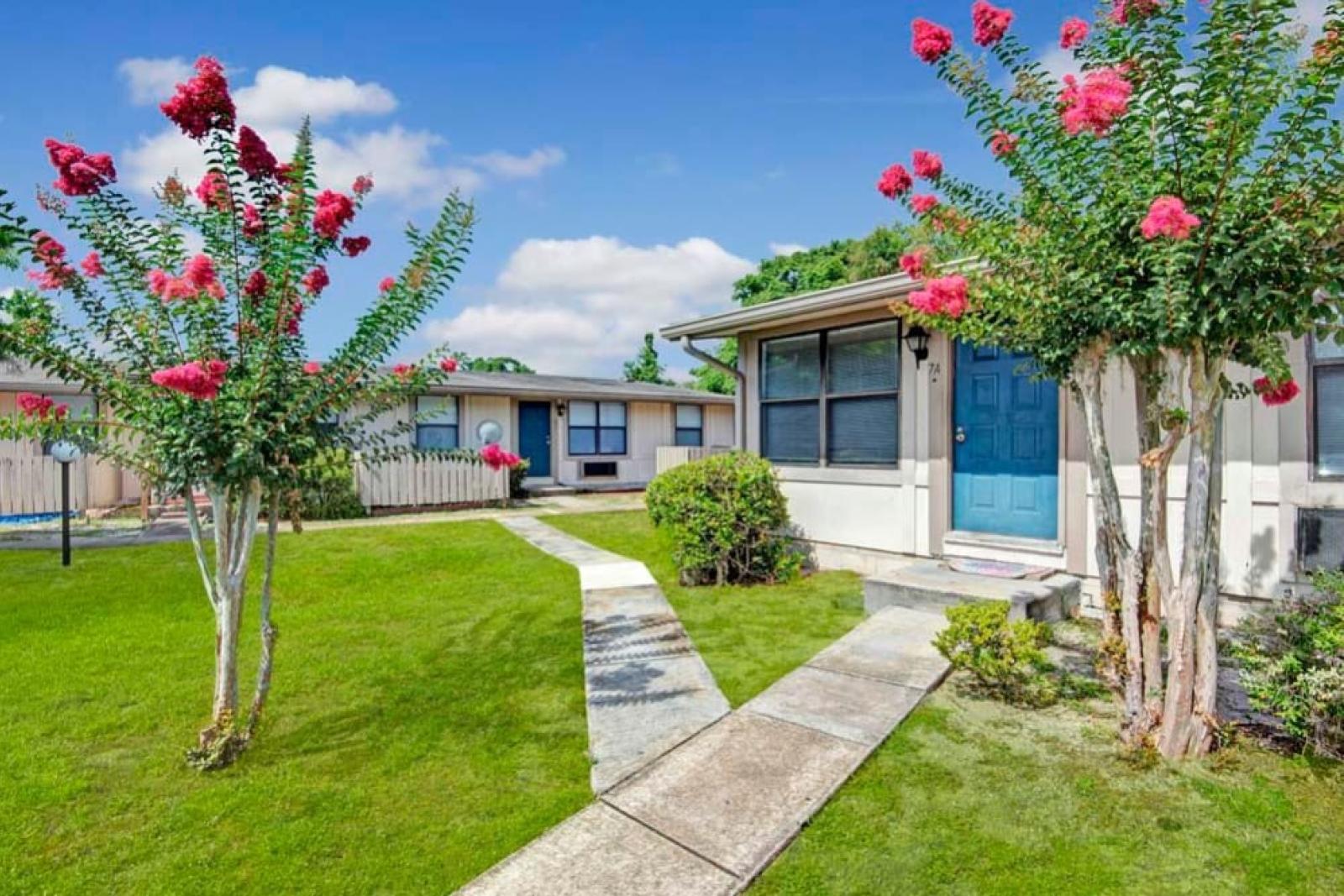 A landscaped pathway leading to single-story apartments with colorful crepe myrtle trees in full bloom and vibrant green grass surrounding the area.