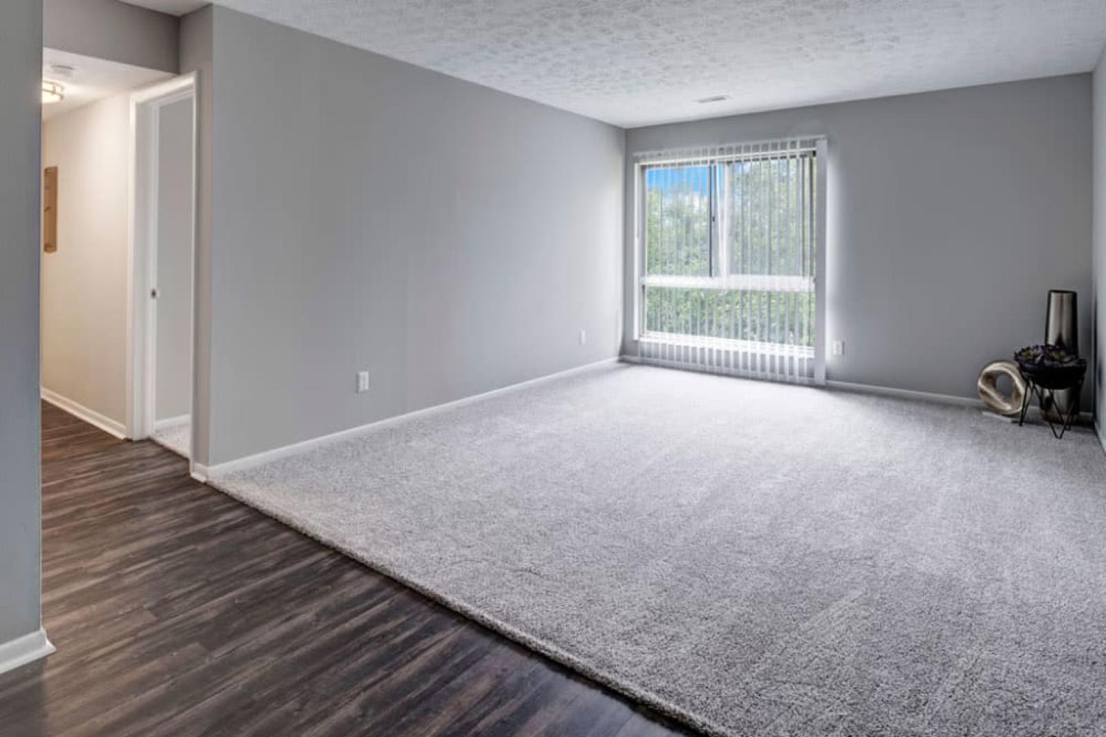 Spacious living room with carpet flooring, a large window, and neutral walls.
