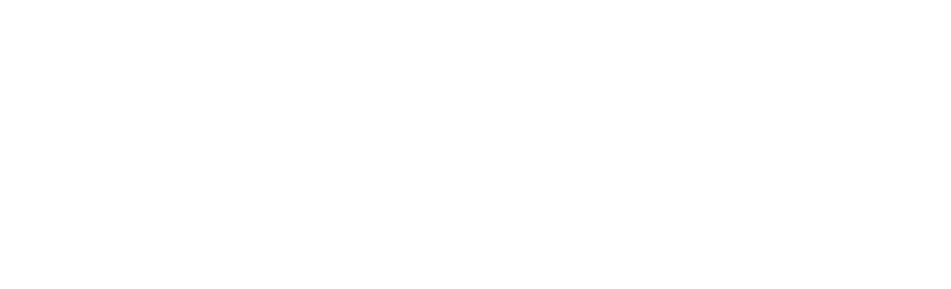 Alesio Logo White