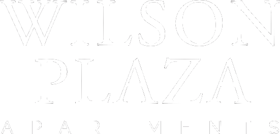 White Logo for Wilson Plaza