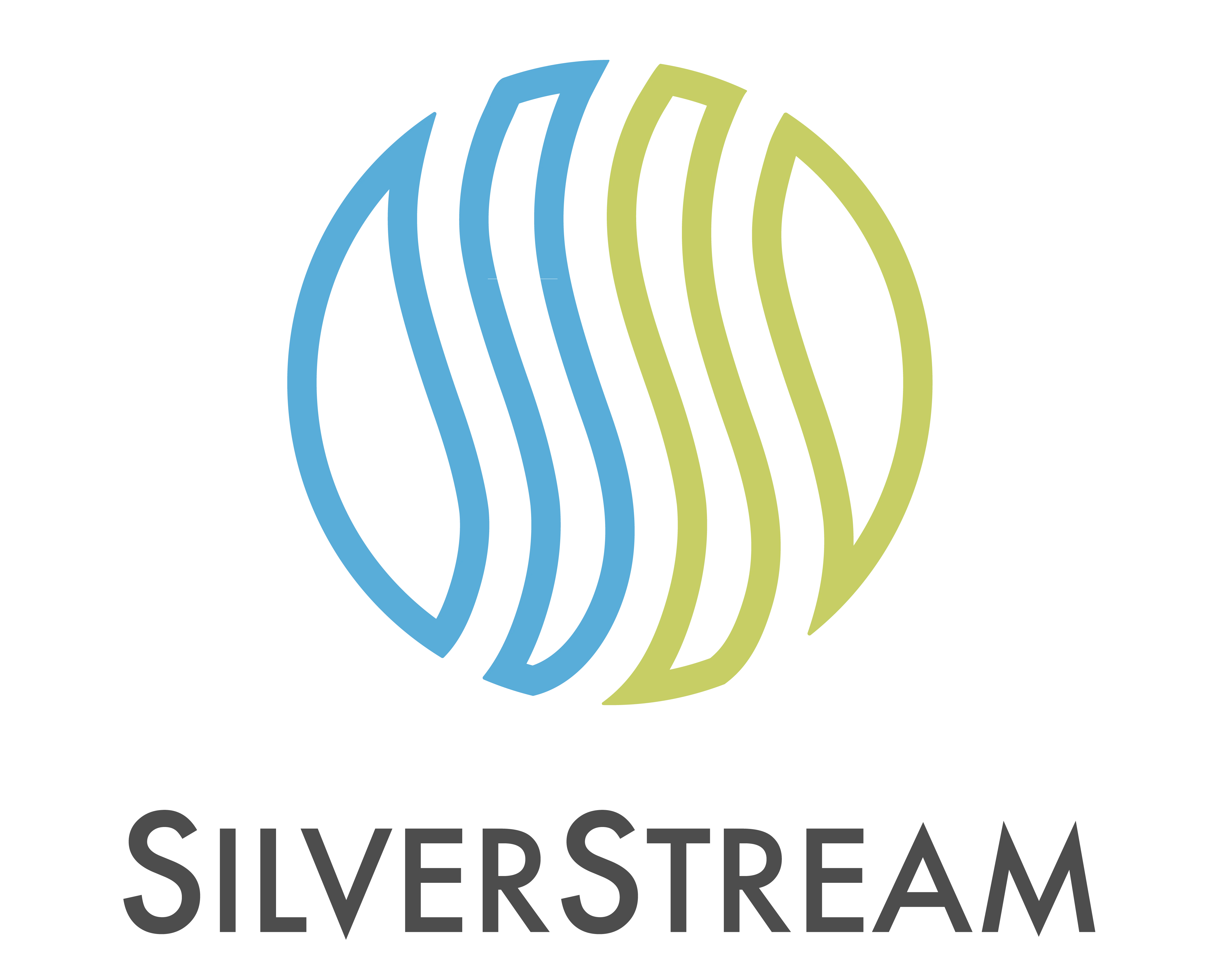 Silverstream Colored Logo