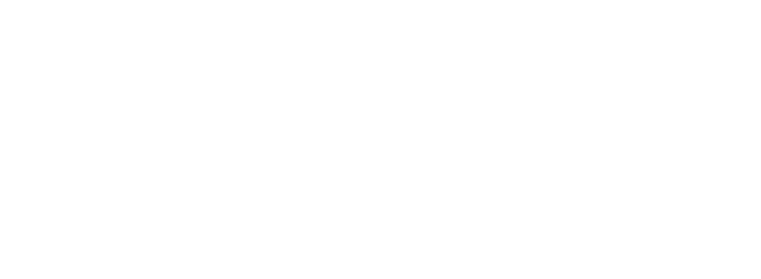 White Logo for The Everly