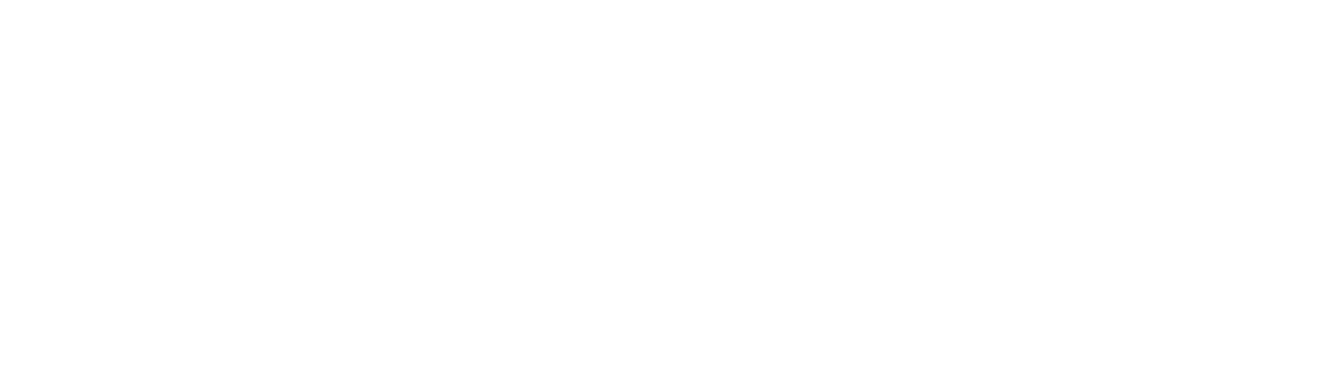 White Logo for The Warner