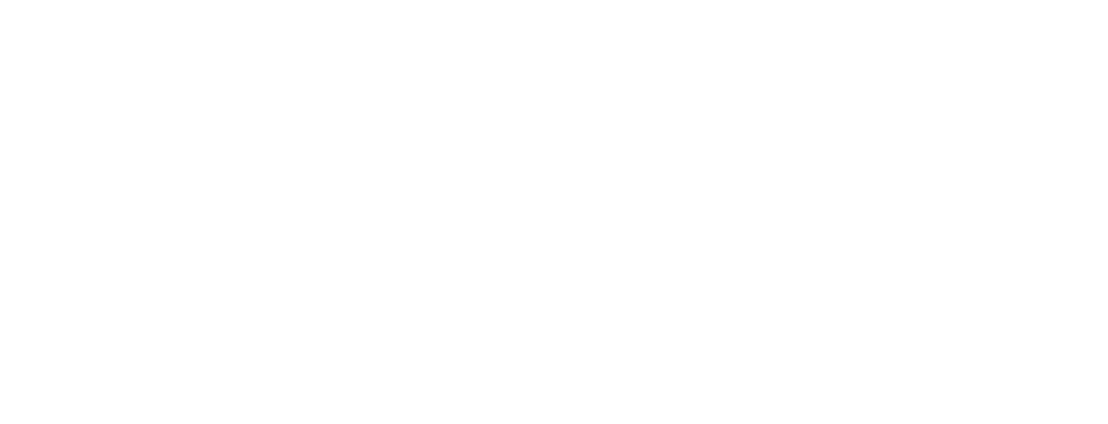 Parc at Wesley Chapel - Logo White.png