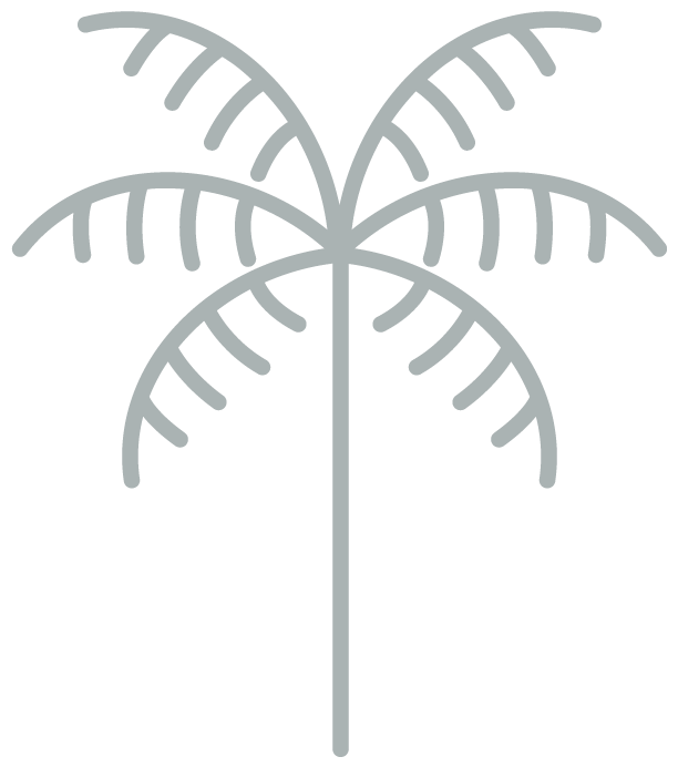 miro brickell palm tree