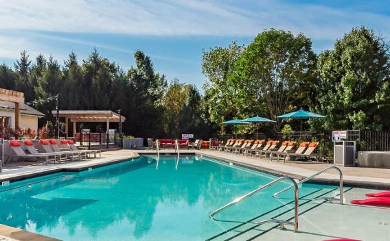 A sparkling outdoor swimming pool surrounded by lounge chairs, umbrellas, and lush greenery, offering a relaxing atmosphere at The Garratt Apartments.