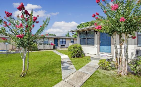Image of buildings with blue front doors and pink flower trees in the foreground