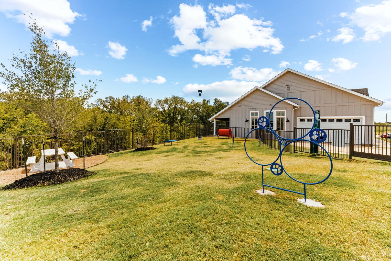 Outdoor Dog Park