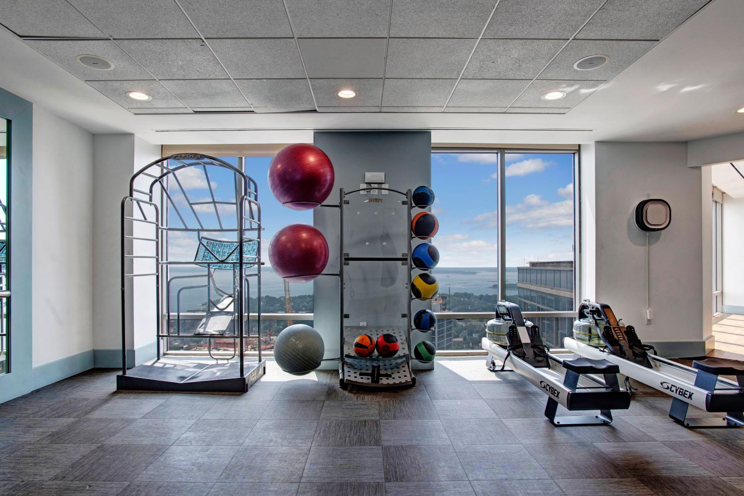 Fitness area with a variety of exercise equipment, including colorful medicine balls and rowing machines, against a backdrop of scenic views.