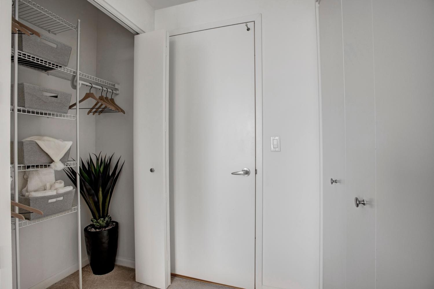 A chic walk-in closet with organized shelving and hanging space, accented with a touch of greenery, ideal for keeping belongings neatly stored.
