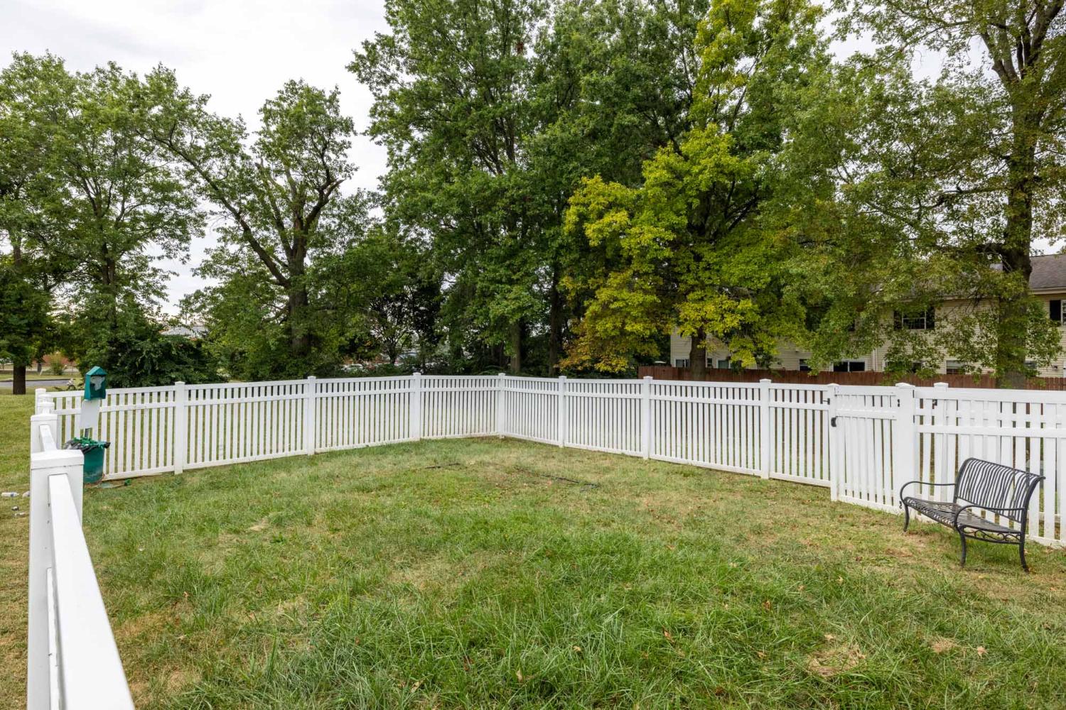 Large, enclosed dog park.