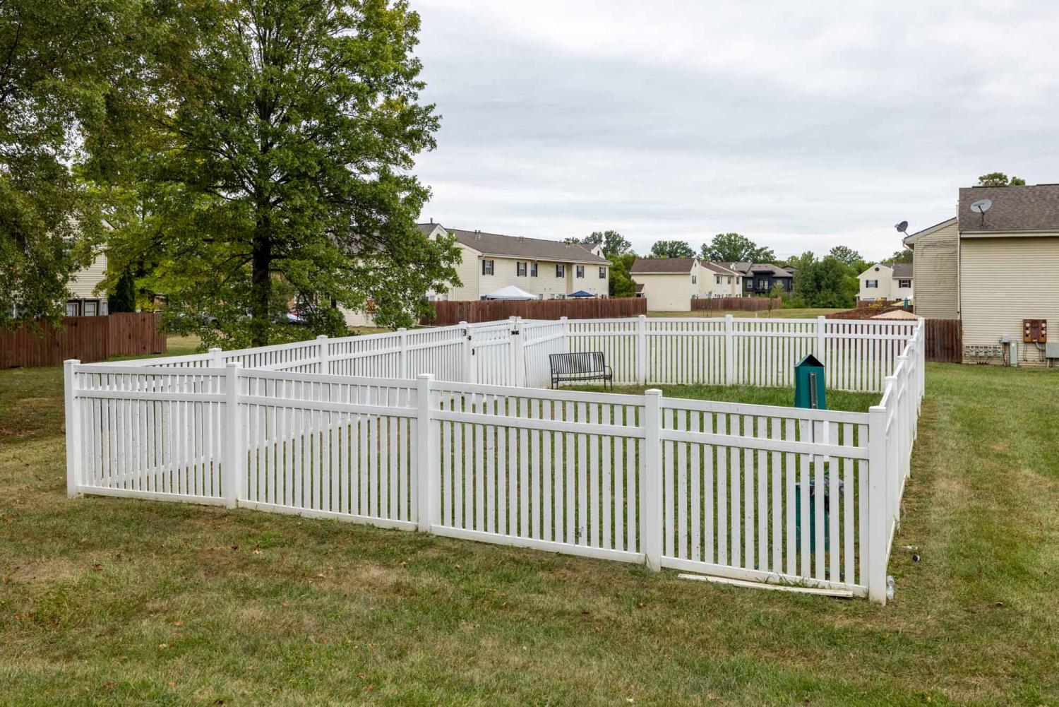 Large, enclosed dog park.