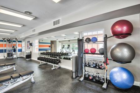 Fully equipped fitness center featuring cardio machines, free weights, and training equipment for a healthy lifestyle.