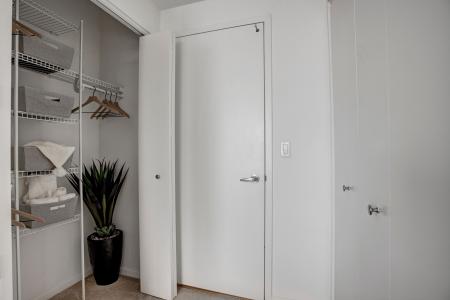 A chic walk-in closet with organized shelving and hanging space, accented with a touch of greenery, ideal for keeping belongings neatly stored.