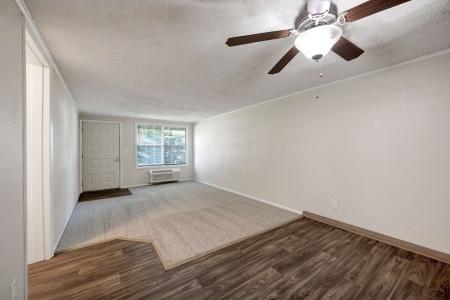 Spacious living room with ceiling fan and wood-style flooring at Apple Ridge apartments.