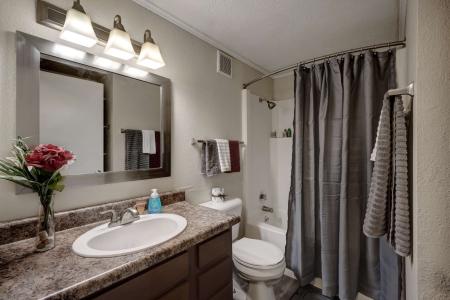 Bathroom with vanity mirror, sink, and shower area at Apple Ridge apartments.