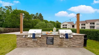  Outdoor grilling station with stainless steel barbecues, a stone countertop, and surrounding greenery, providing a perfect setting for outdoor cooking and gatherings.
