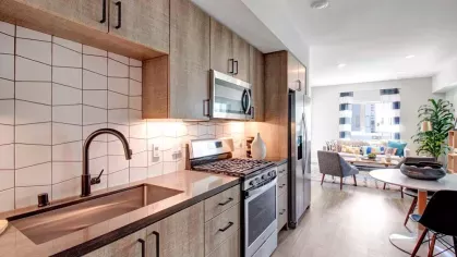 Open layout with a kitchen, dining area, and cozy living room.