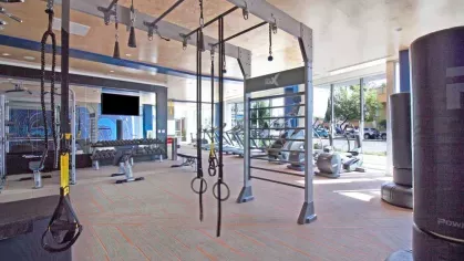 Functional training area with suspension ropes, pull-up bars, and free weights in a spacious gym.