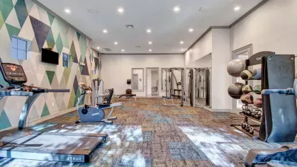  A modern fitness center with cardio equipment, strength machines, medicine balls, and a colorful geometric accent wall.