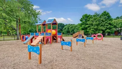 A vibrant pet playground with obstacles and climbing structures set in an open, grassy area.