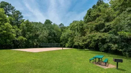 A scenic grassy area with a volleyball court, picnic table, and grill surrounded by trees.