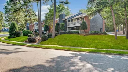 Apartment complex surrounded by tall pine trees and manicured grass.
