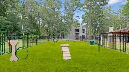Dog park with agility equipment and open green space, enclosed by fencing.