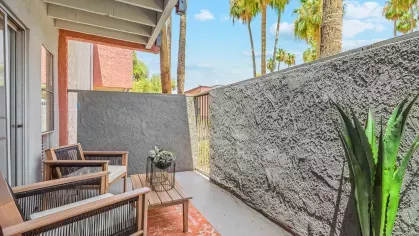 Charming outdoor patio featuring stylish wooden chairs with rope accents, a small coffee table with a decorative plant, and a vibrant rug, surrounded by textured walls and a backdrop of lush palm trees.