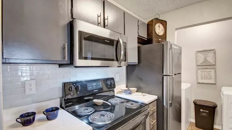 Another view of a sleek kitchen with stainless steel appliances, black refrigerator, and a plant on the counter.