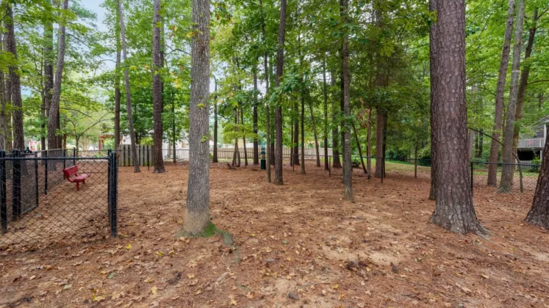 A spacious wooded bark park with ample area for pets to play, enclosed by a secure fence.