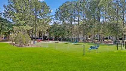 A fenced outdoor area surrounded by lush greenery, featuring benches and open space for leisure.