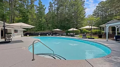 A sparkling outdoor pool surrounded by lounge chairs, umbrellas, and trees.