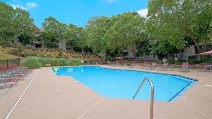 A large outdoor pool surrounded by lounge chairs and trees at 200 Braehill Apartments.