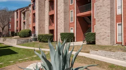 A close-up view of a landscaped agave plant with red and beige apartment buildings in the background.