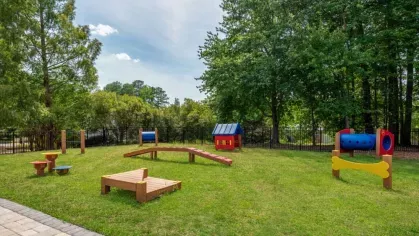 A vibrant dog park featuring agility equipment like tunnels, ramps, and platforms, surrounded by a grassy area with trees and a fenced enclosure, perfect for pets to play and exercise.