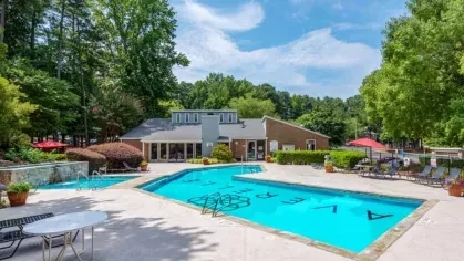 A large swimming pool with a pool house, surrounded by lounge chairs and shaded by tall trees, creating a serene environment.