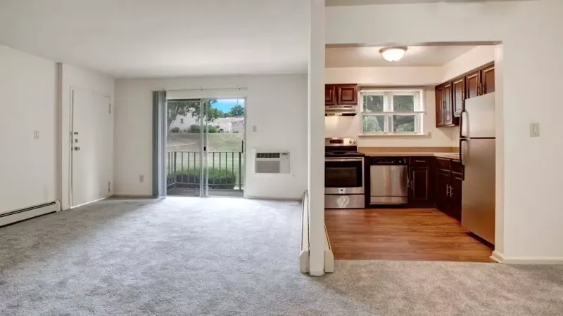 A spacious living area with gray carpeting, an adjacent kitchen with wood flooring, and a closet visible to the left.