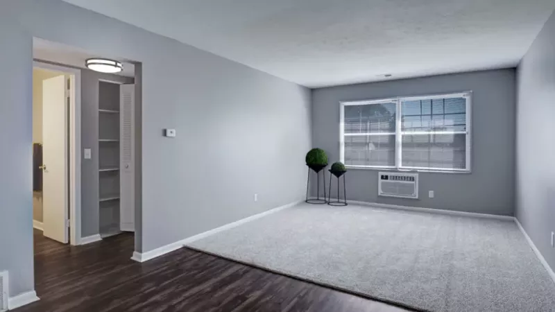 A bright and airy living area with gray walls, large windows, and hardwood flooring.