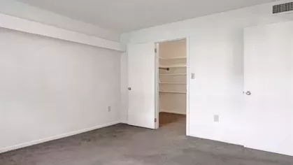 Spacious room featuring a walk-in closet and minimalistic design.