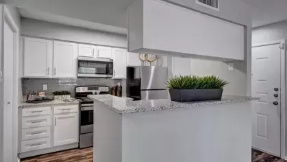 An open-concept kitchen with stainless steel appliances, white cabinets, and a granite breakfast bar with green decor.