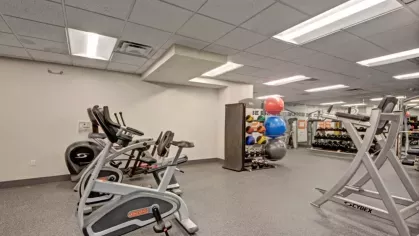 A gym area showcasing a variety of workout machines and vibrant exercise balls for an energizing workout.