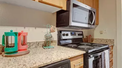 A closer view of the kitchen counter featuring colorful French presses and a sleek stove.