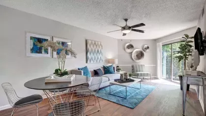 A modern living room featuring a circular dining table, decorative accents, and a cozy seating area with a blue rug.