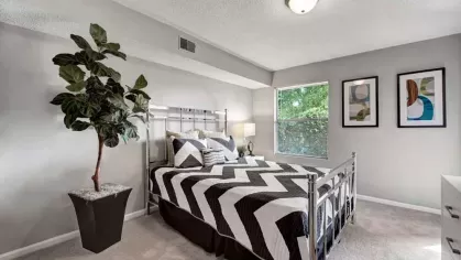 A bedroom with a silver metal bed frame, patterned bedding, and a large potted plant by the window.