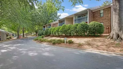 A tree-lined street with apartment buildings and landscaped greenery.