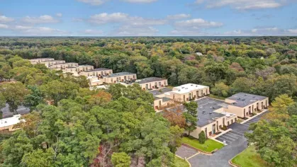 an aerial view of the apartment community, revealing a layout surrounded by expansive greenery and trees.